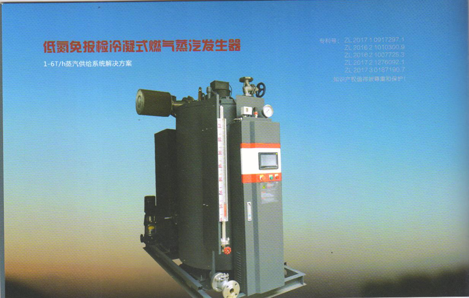 LNS500KG-1000KG低氮免报燃气蒸发生器